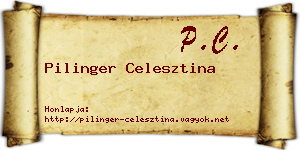 Pilinger Celesztina névjegykártya